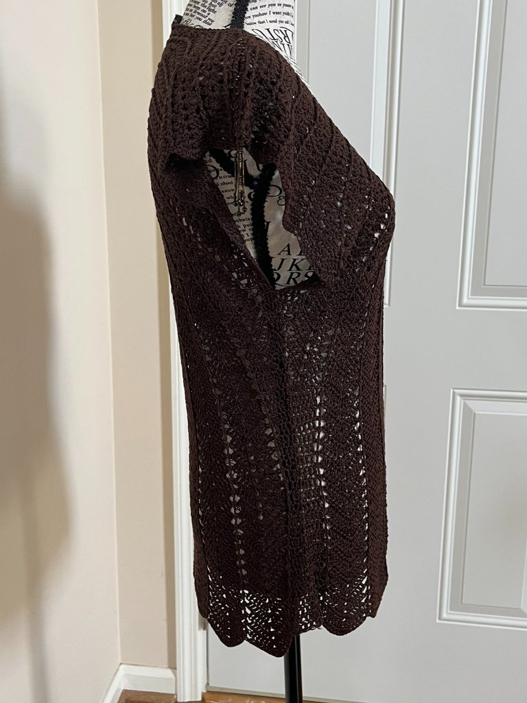 The Limited Brown Crochet V-Neck Top, Size S — image 4 of 8